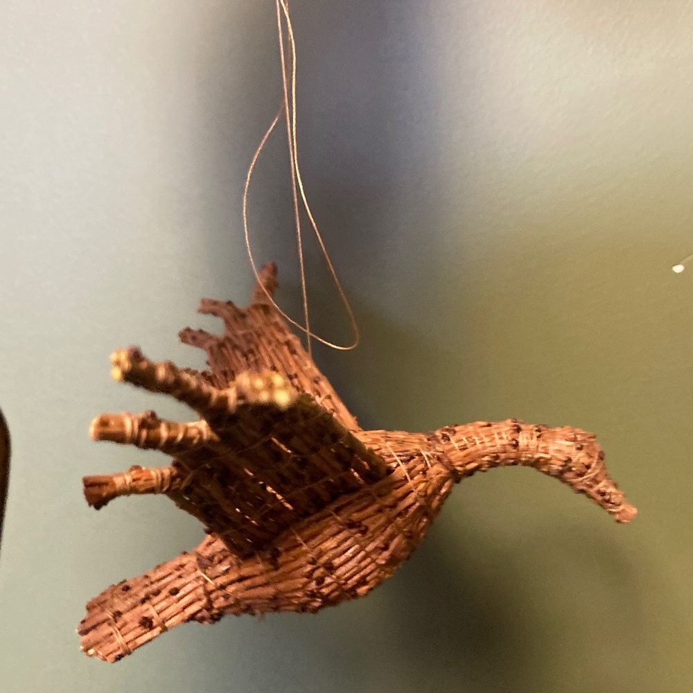Tamarack bird